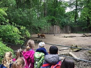 Zoo Krefeld 2019