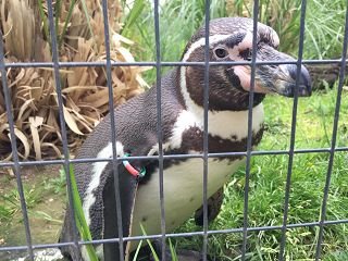 Zoo Krefeld 2019