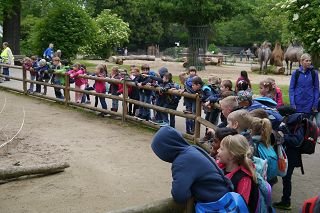 Zoo Krefeld 2019