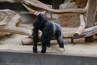 Zoo Krefeld 2019