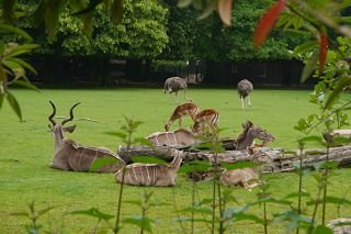 Zoo Krefeld 2019